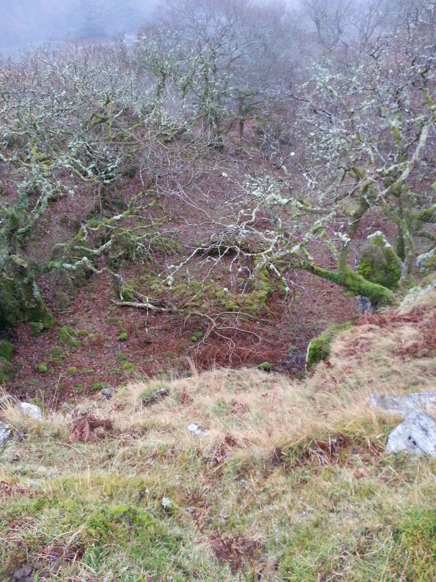 Image of view down from Dinas Emrys
