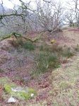 Image of the pool at Dinas Emrys