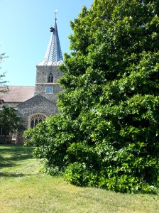 Image of Ickleton church