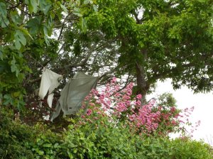 The banality of life, so much of which was celebrated by Dylan Thomas, is summarised in these garments, hanging in the breeze at the Boat House, Laugharne.