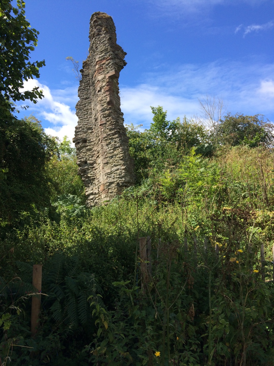 Image of Wigmore Castle ruins